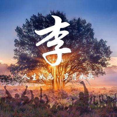 英国应对能源冲击，要求所有新建住宅安装太阳能板与热泵