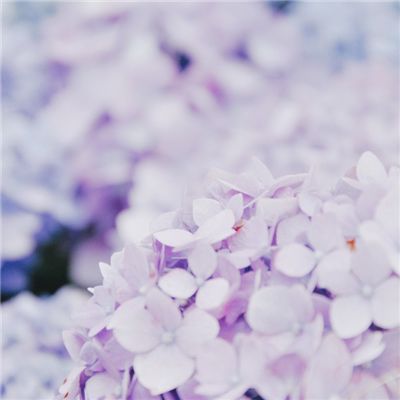 怪物管理公司手机版