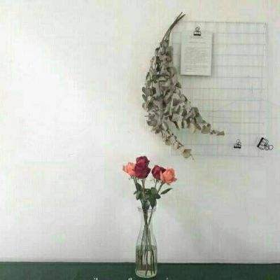 我去上学啦