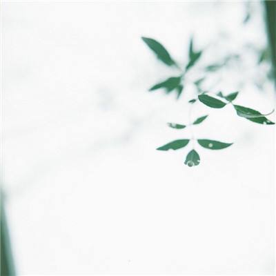 美方向伊朗提出含“15项条件”的和谈方案